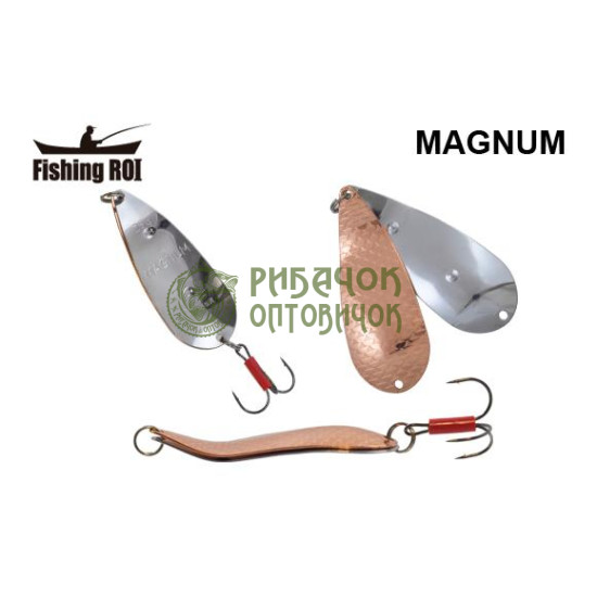 Блешня Fishing ROI Magnum 25gr 003+001 (уп5шт) (M122)