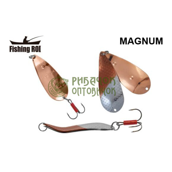Блешня Fishing ROI Magnum 25gr 025+003 (уп5шт) (M122)
