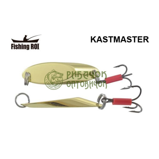 Блешня Fishing ROI Kastmaster 21gr 002 (уп5шт) (M122)