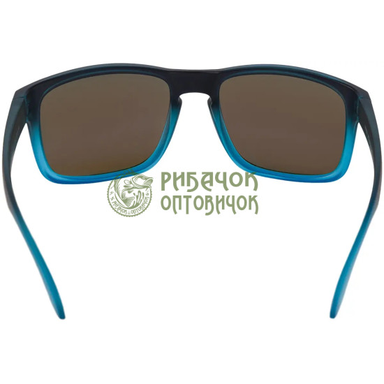 Окуляри Select CS11-BB-BR поляризаційні