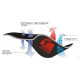 Термобілизна Ranger Active (M)