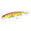 Fishycat Junglecat 140 SP