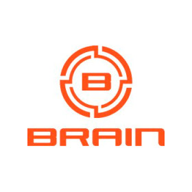 Brain