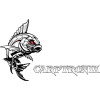 Carptronik
