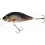 Karas 11