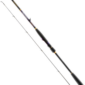 Вудилище спінінгове Favorite Skyline NEW SKYA-842SH 2.54m 30-100g Ex.Fast